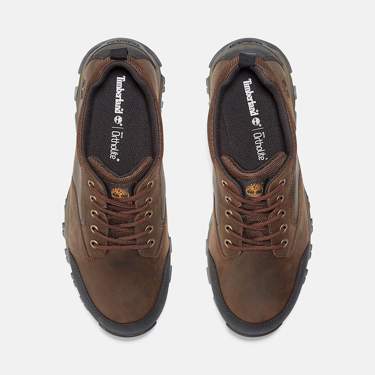 Men's Mt. Maddsen Low Waterproof Hiking Boot